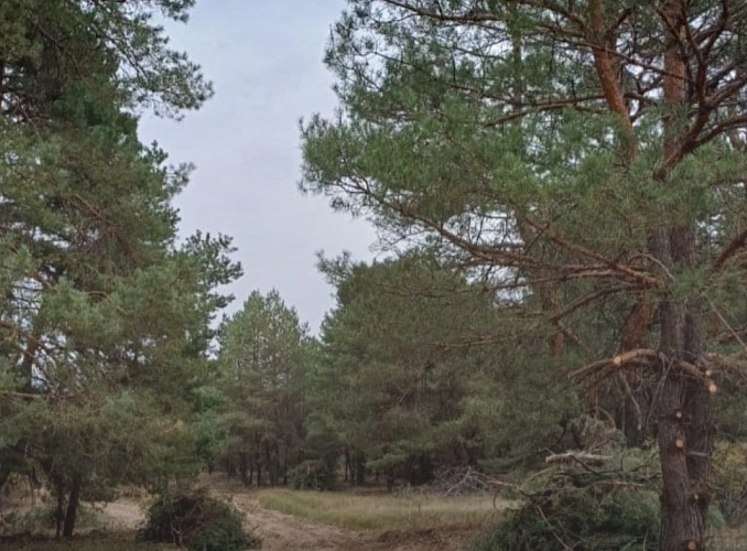 Фото: Минприроды Ростовской области