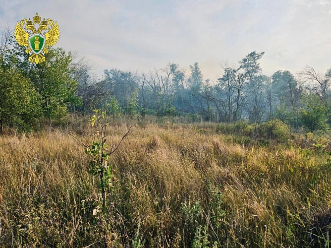Фото: Прокуратура Ростовской области