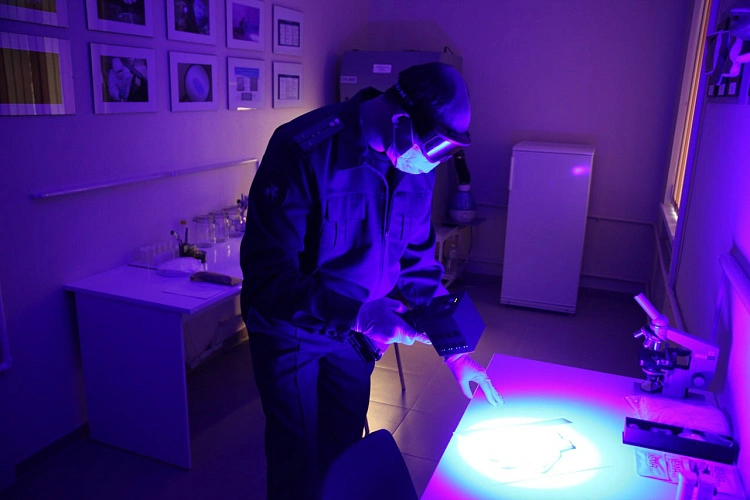 Фото: работает эксперт // кадр СУСК РФ по РО