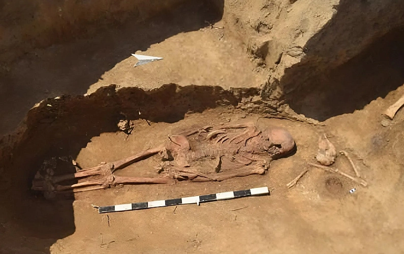 Фото: центр общественных коммуникаций ЮФУ