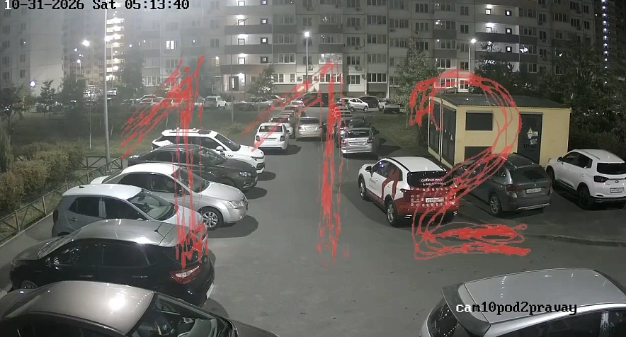 Фото: кадр из социальных сетей