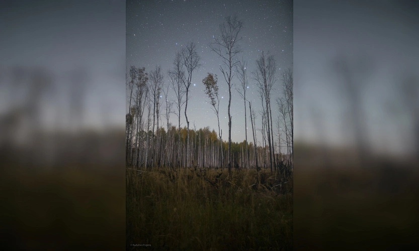 Фото: Московский Планетарий