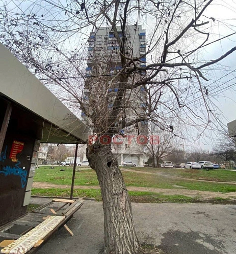 Фото: ТГ канала «Жесть Ростов»