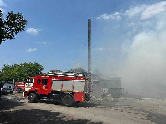 Фото: кадр из социальных сетей