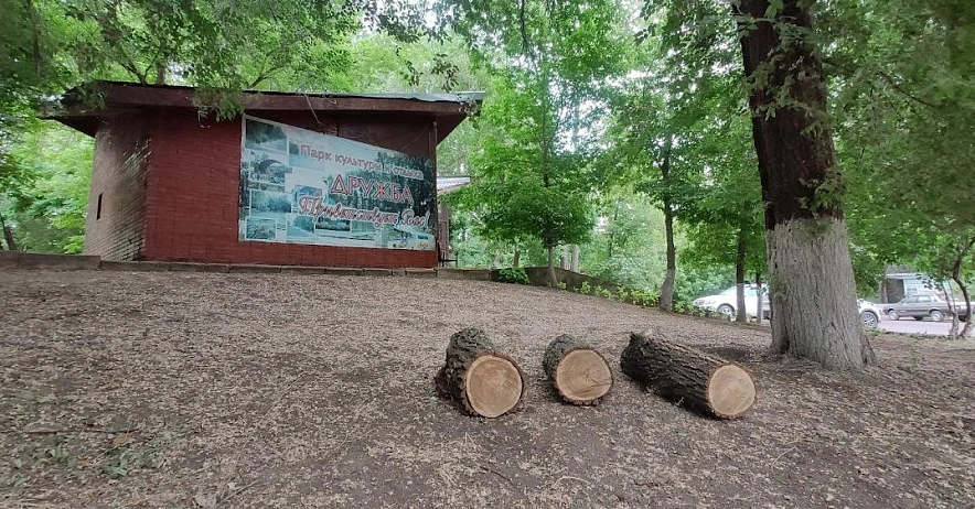 Фото: кадр 1rnd