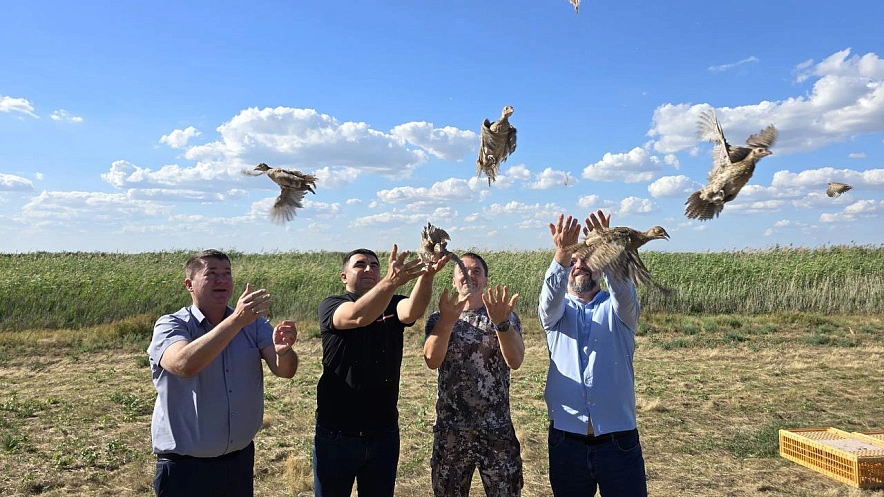 Фото: ТГ канала Главы Администрации Пролетарского района Ростовской области