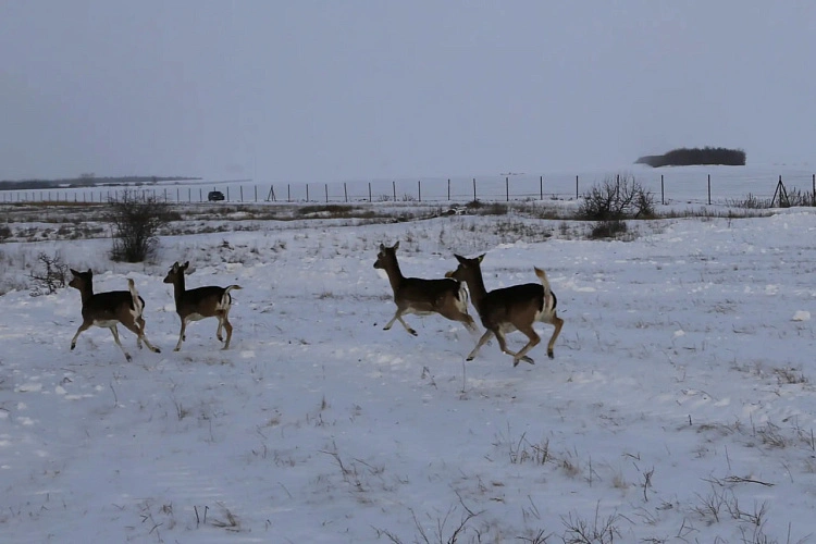 Фото: Правительство Ростовской области 