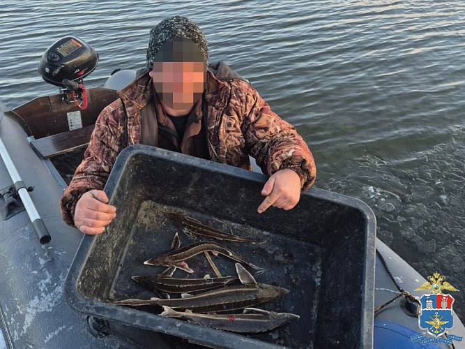 Фото: пресс-службы УТ МВД РФ по СКФО