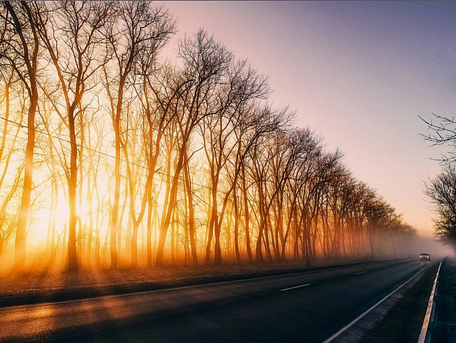 Фото: Денис Демков