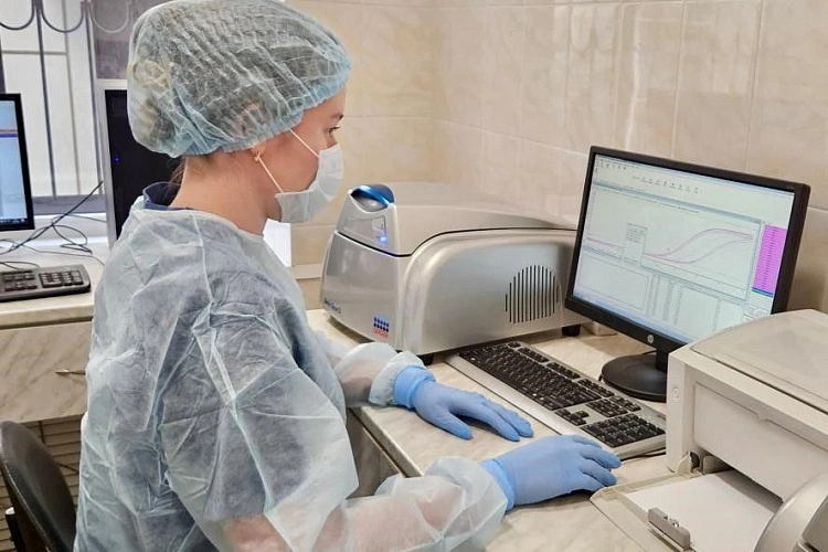 Фото: правительство Ростовской области