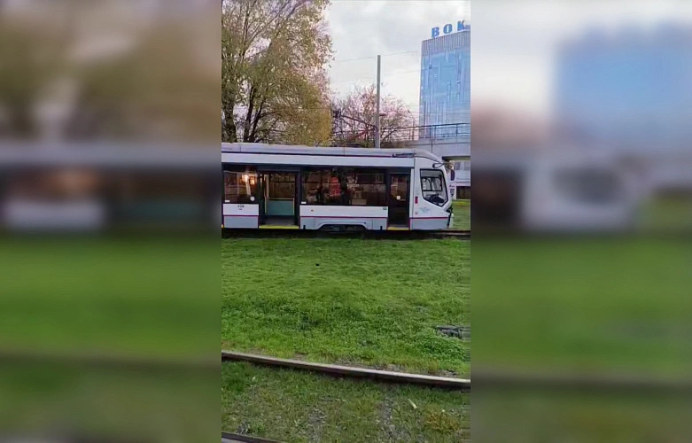 Фото: ТГ канала «Че по Ростову?»