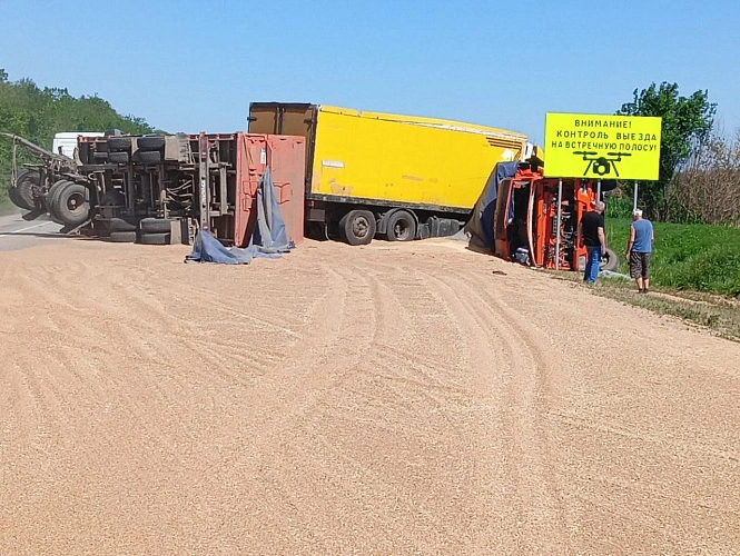 Фото: На трассе в Ростовской области насмерть разбился мотоциклист и водитель грузовика, фото ГИБДД РО