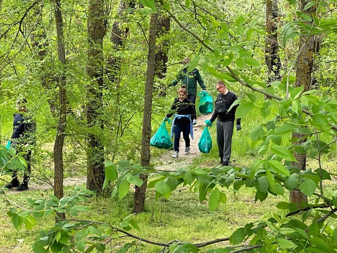 Фото: субботники в Ростове \\ кадры - соцсети А. Логвиненко