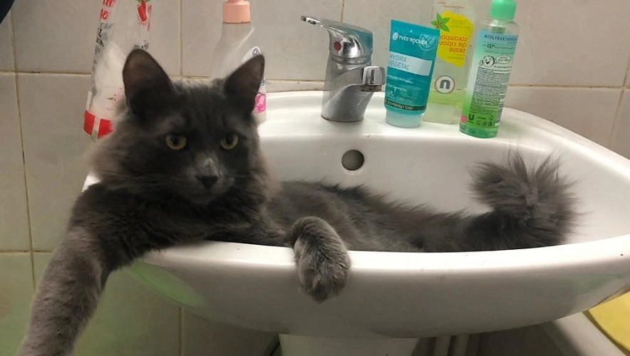 Фото: В центре Ростова не будет холодной воды \\ кадр 1rnd.ru