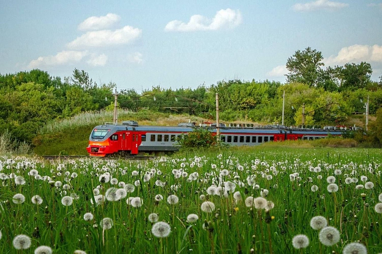 Фото: ТГ канал временно исполняющего обязанности губернатора Ростовской области