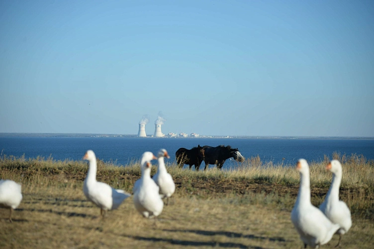 Фото: Управление коммуникаций Ростовской АЭС
