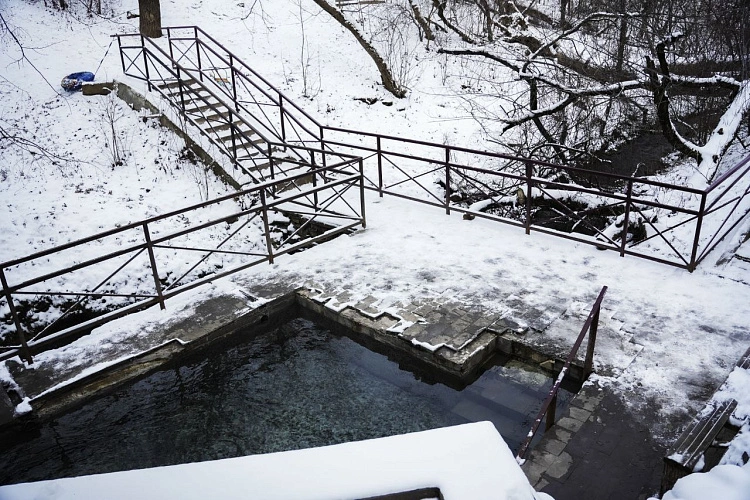 Фото: пресс-центр ЮФУ