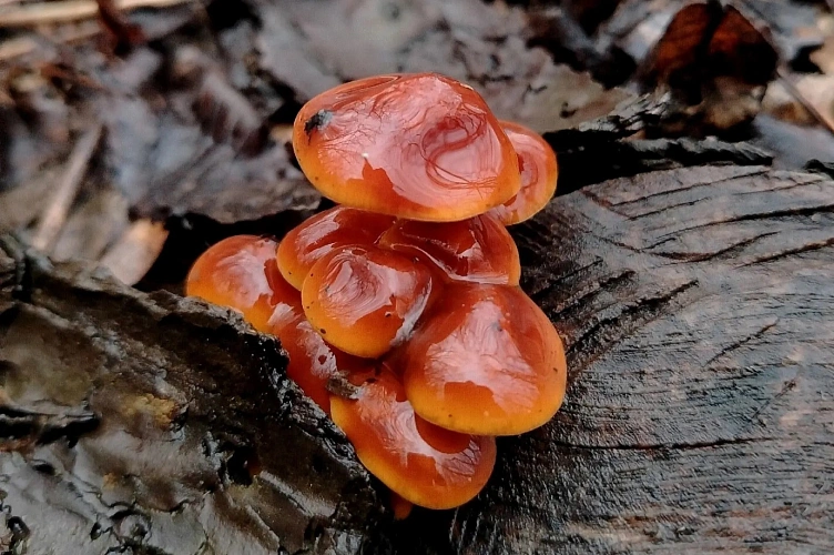 Фото: пресс-центр ЮФУ