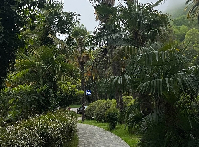 Фото: Сочи в мае // кадр 1rnd.ru