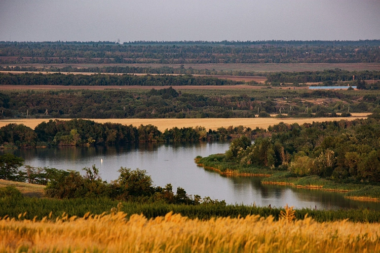 Фото: из архива Правительства Ростовской области 