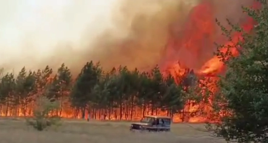 Фото: кадр очевидца//пожар в Верхних Грачиках
