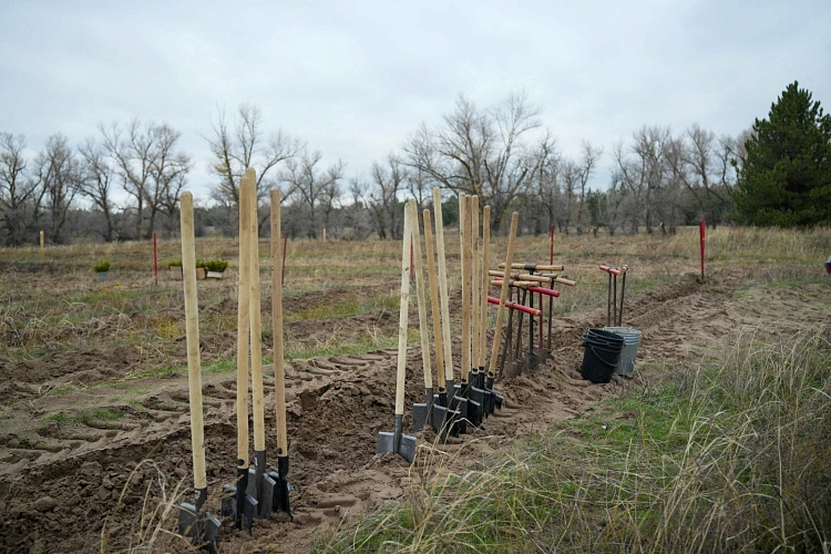 Фото: пресс-центр «РусКлиматФонда» 