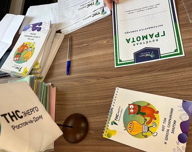 Фото: энергоквиз // фото ТНС энерго Ростов-на-Дону