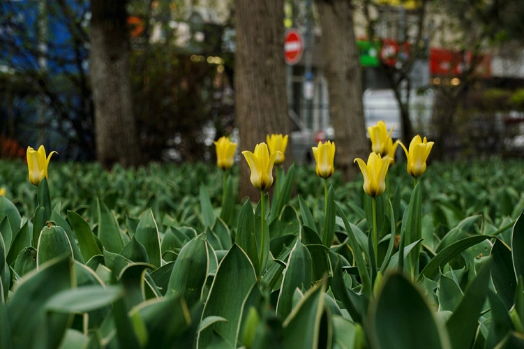 Фото: Тимур Лавронов // 1rnd.ru