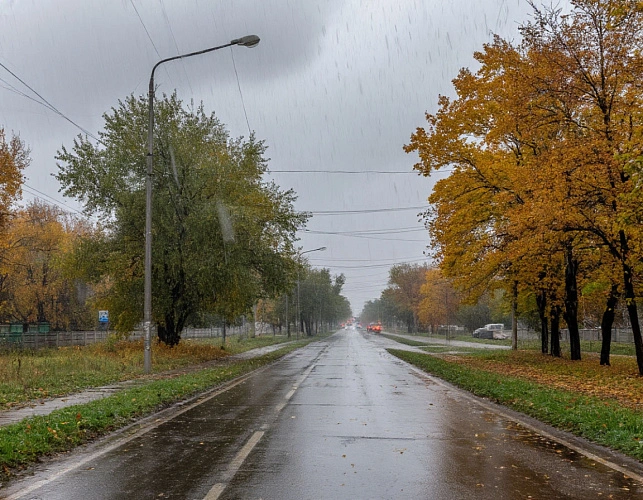 Фото: нейросеть 