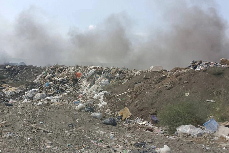 Фото: Антонина Пшеничная