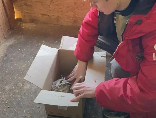 Фото: Министерство природных ресурсов и экологии Ростовской области