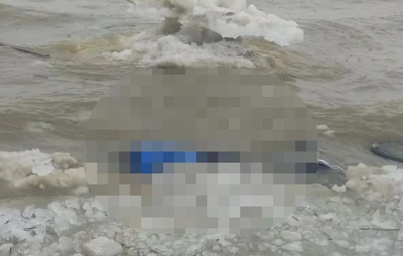 Фото: МЧС Ростовской области