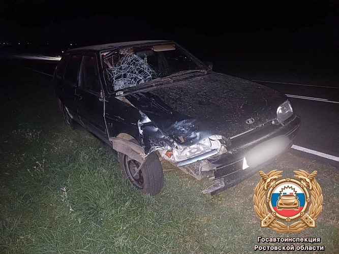 Фото: Госавтоинспекция Ростовской области