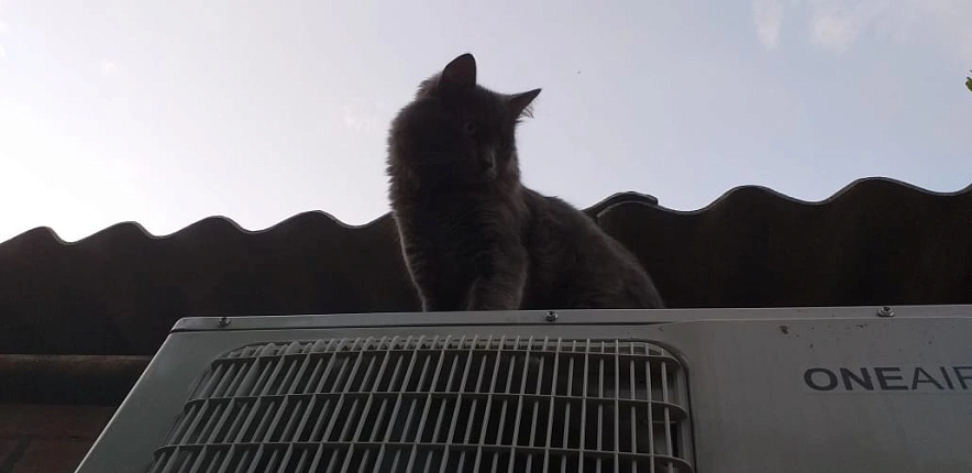 Фото: центр Ростова без света \\ кадр 1rnd.ru 