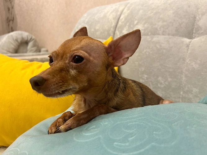 Фото: из архива редакции