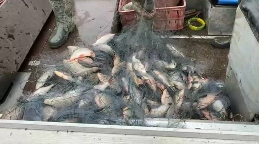 Фото: ГУ МВД России по РО