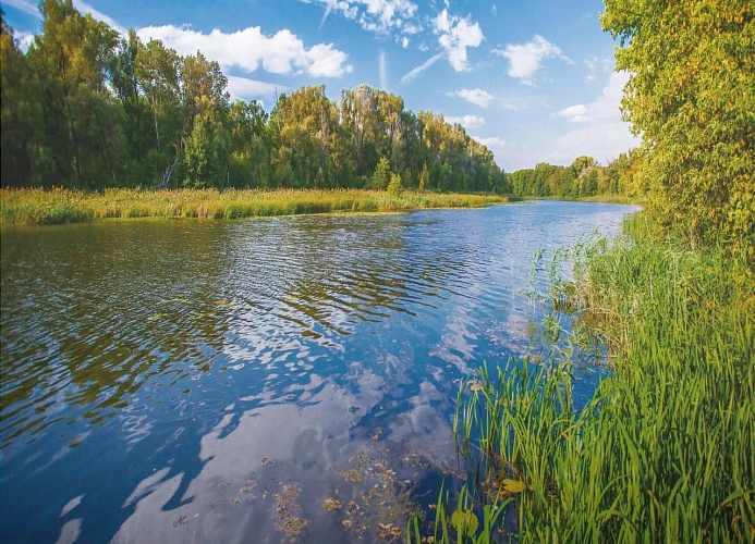 Фото: из архива Минприроды Ростовской области