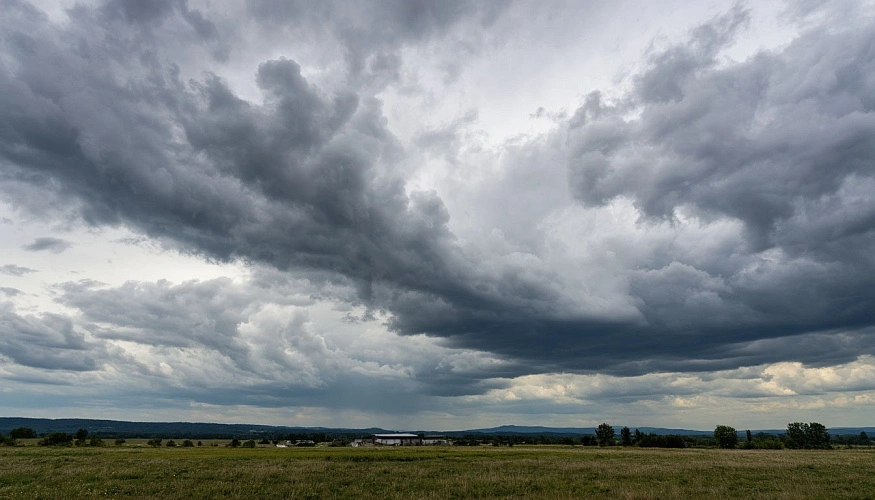 Фото: сгенерировано нейросетью Шедеврум