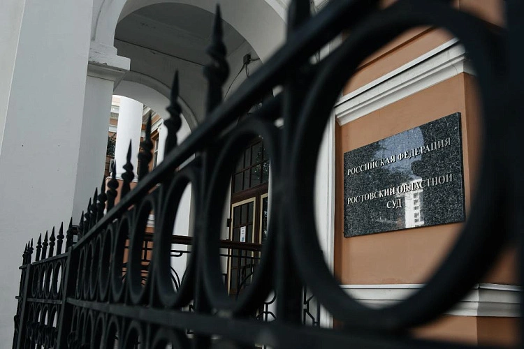 Фото: Ростовский облсуд // кадр из публикаций 1rnd.ru