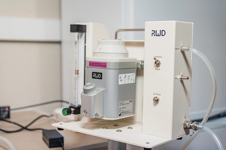 Фото: гуманная эвтаназия // кадр управления информационной политики ДГТУ