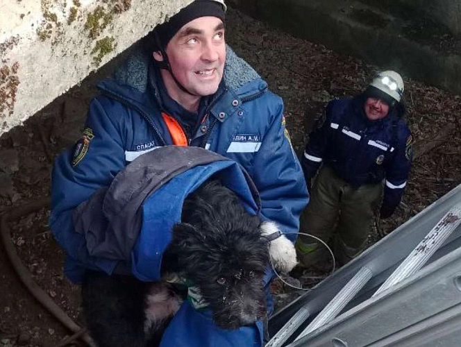 Фото: спасение собаки // кадр ДПЧС РО