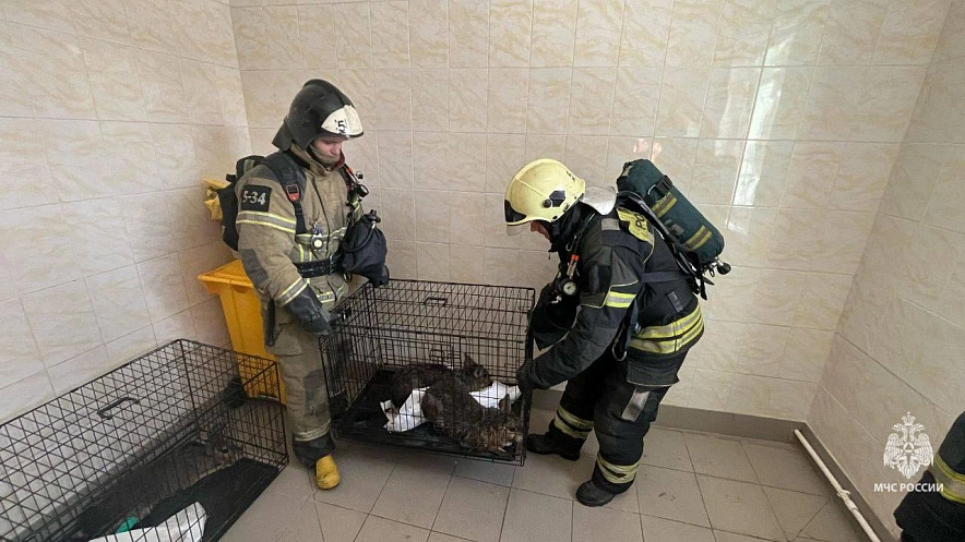 Фото: МЧС РО