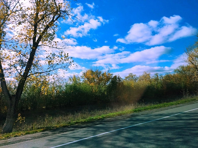 Фото: из публикаций 1rnd.ru