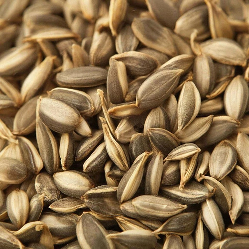 Фото: Нейросеть