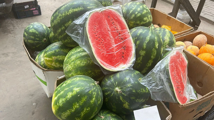 Фото: арбузы в Ростове // кадр 1rnd