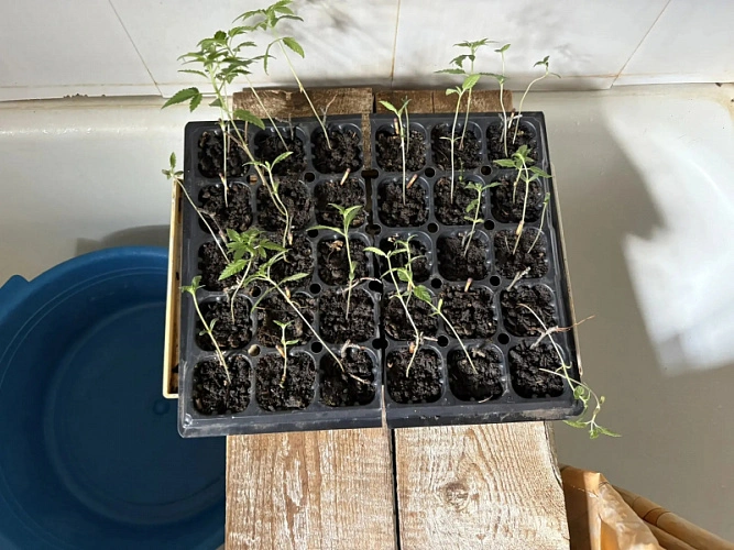 Фото: ГУ МВД России по РО