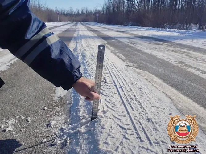 Фото: Госавтоинспекции Ростовской области 