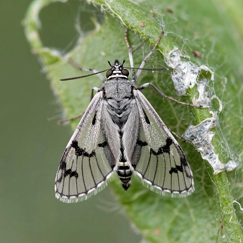 Фото: создано нейросетью