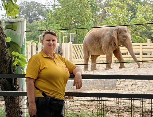 Фото: rostov_zoo_official/vk.com