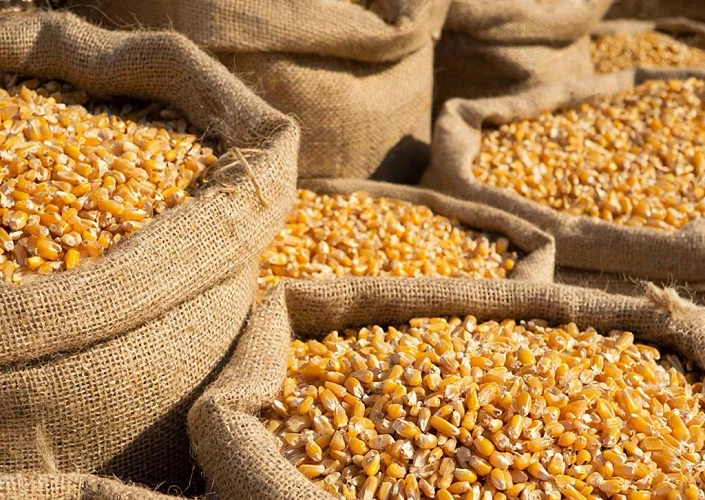 Фото: Нейросеть